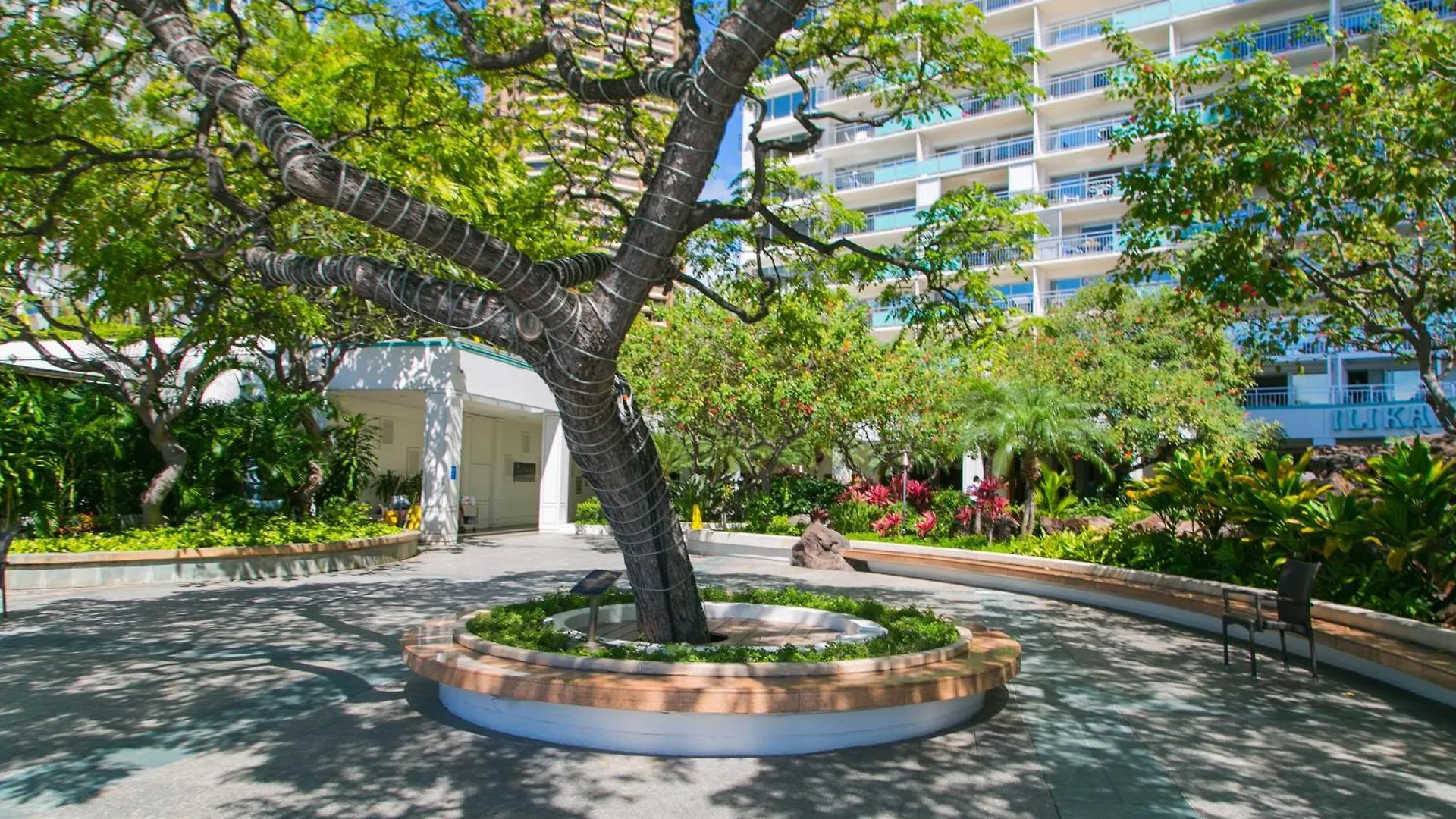 Daire Ilikai Tower 1205 City View 1Br Honolulu ABD